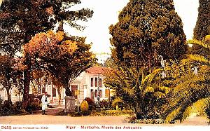 ALGER - MUSTAPHA - MUSEE DES ANTIQUITES